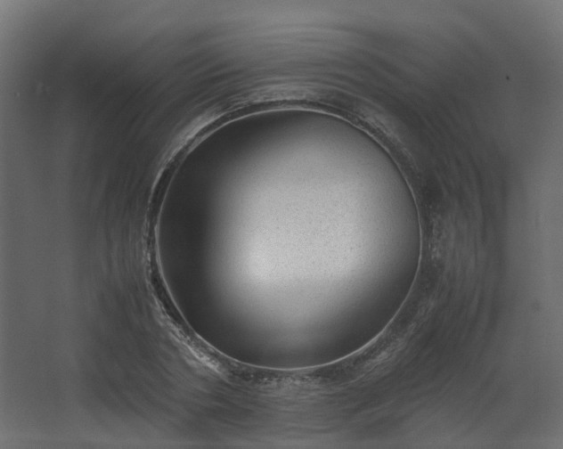 X0000067850786200604201306