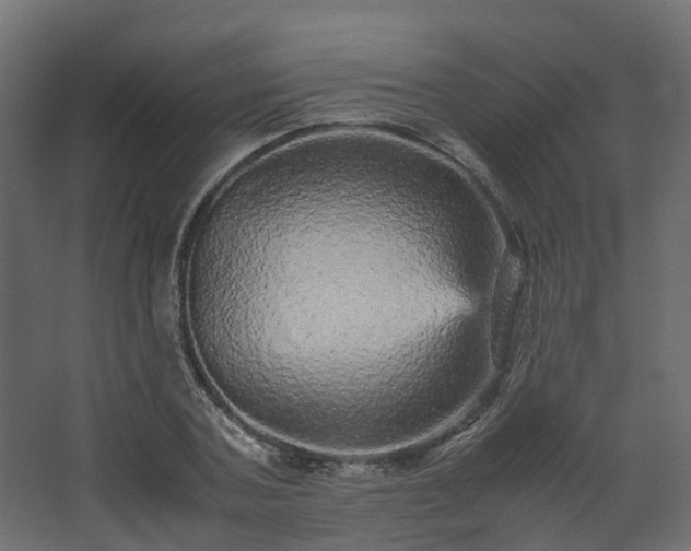 X0000067850787200604201306