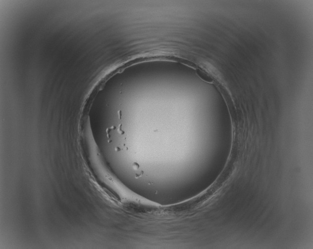 X0000067850789200604201306