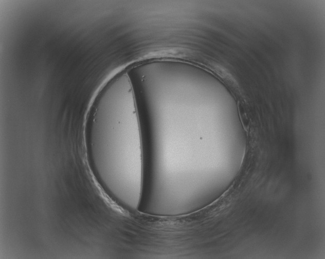 X0000067850792200604201306