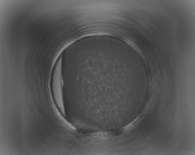 X0000067850797200604201306