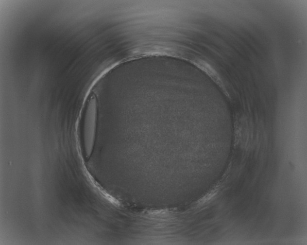 X0000067850798200604201306