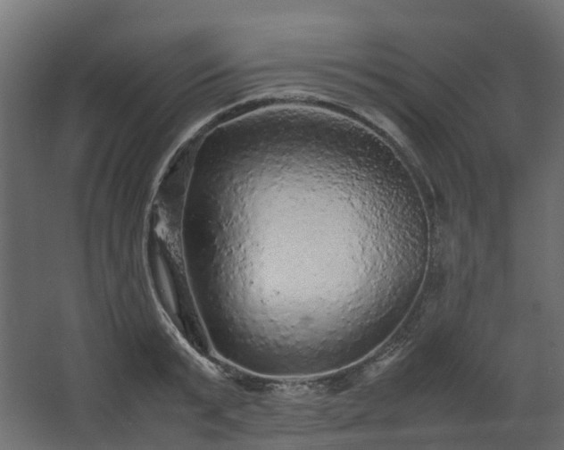 X0000067850799200604201306