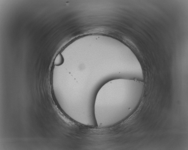 X0000067850800200604201306