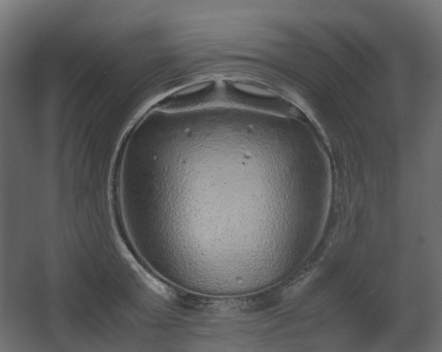 X0000067850803200604201306