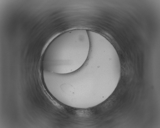 X0000067850804200604201306