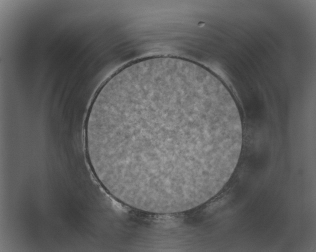 X0000067850807200604201306