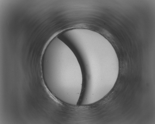 X0000067850808200604201306