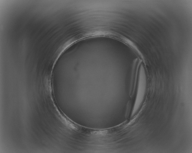 X0000067850810200604201306