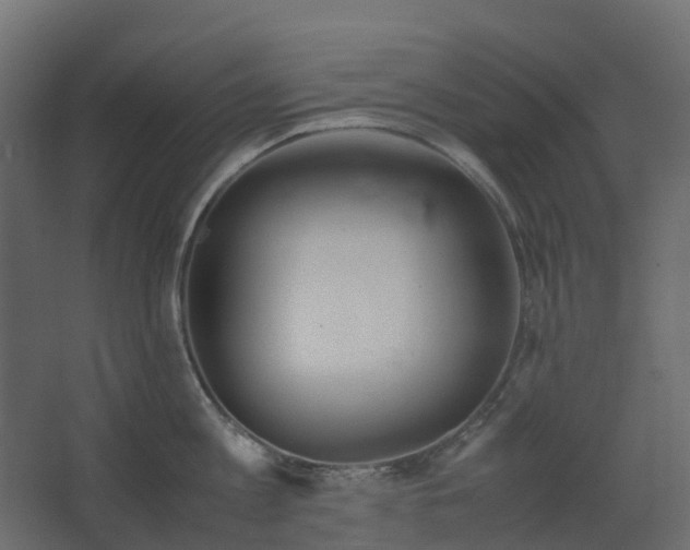 X0000067850813200604201306