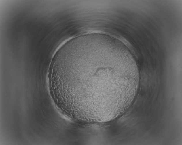 X0000067850814200604201306