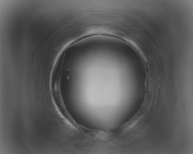 X0000067850815200604201306