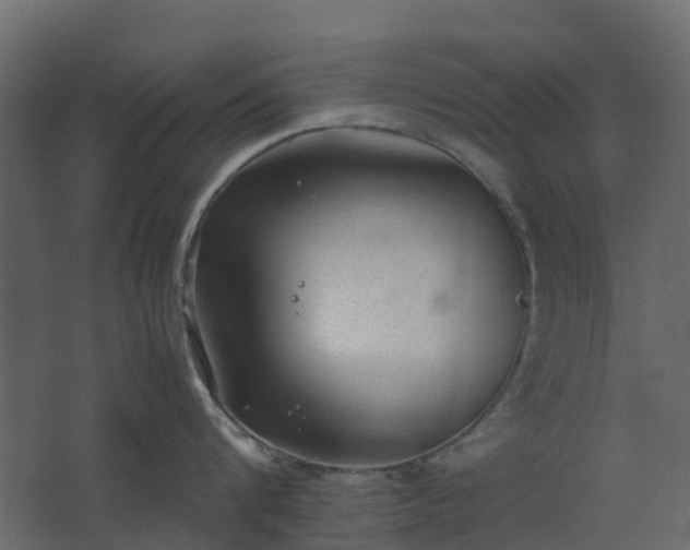 X0000067850816200604201306