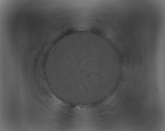 X0000067850817200604201305