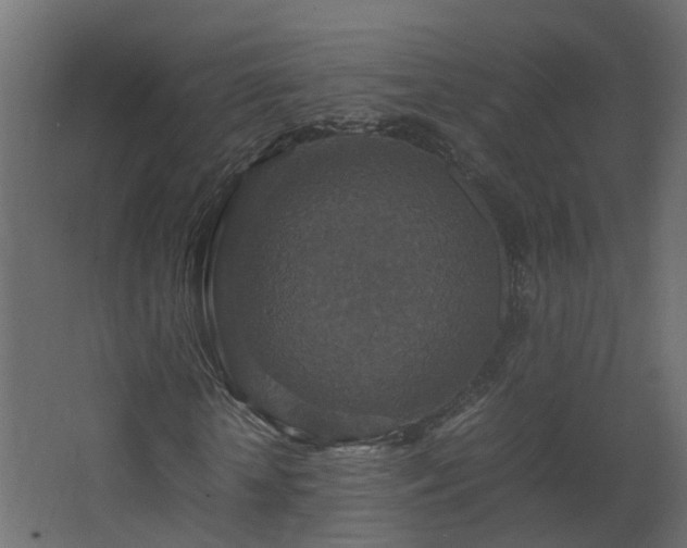 X0000067850818200604201305