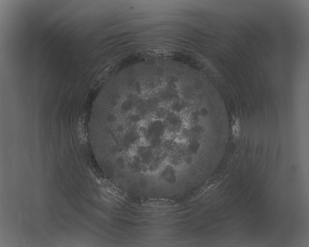 X0000067850819200604201305