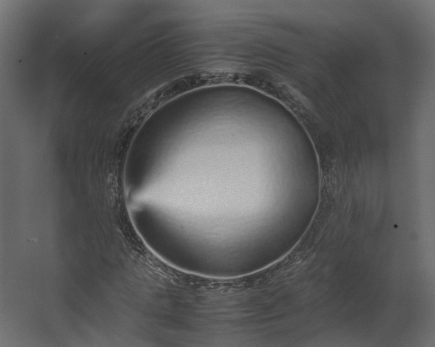 X0000067850821200604201305