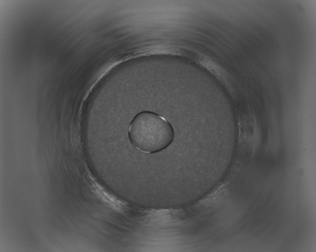 X0000067850828200604201305