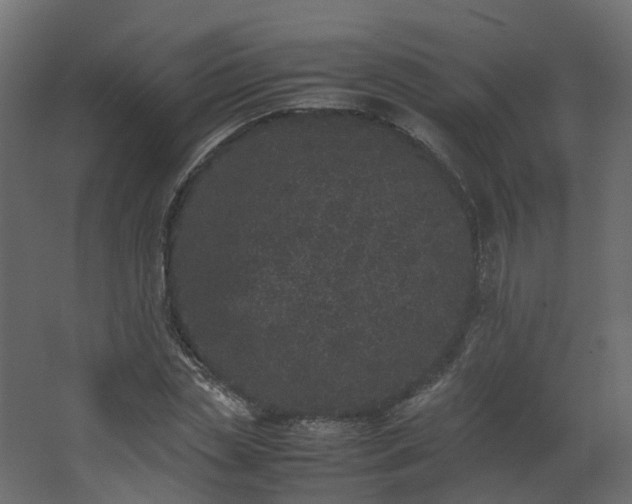 X0000067850829200604201305