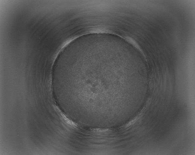 X0000067850831200604201305