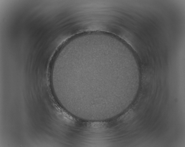 X0000067850832200604201305