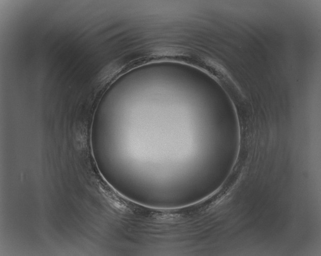 X0000067850833200604201305