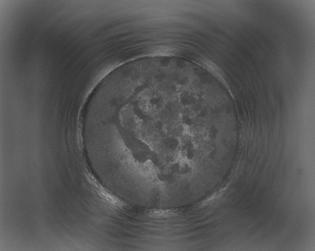 X0000067850835200604201305