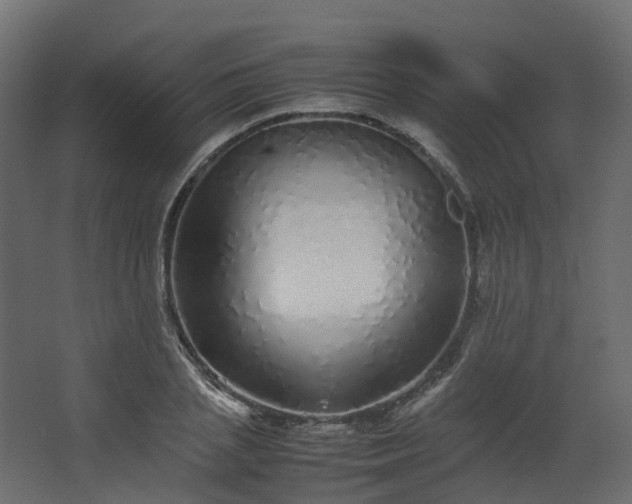 X0000067850837200604201305