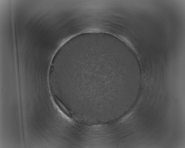 X0000067850839200604201305