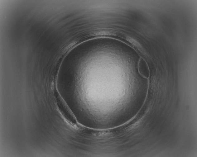 X0000067850841200604201305