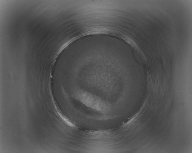 X0000067850842200604201305