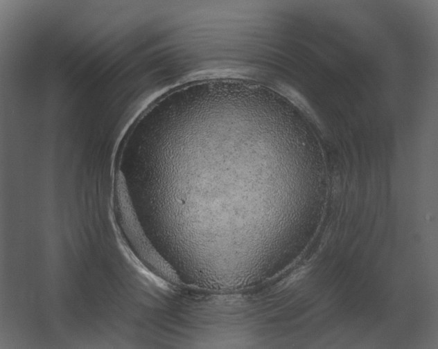 X0000067850844200604201305