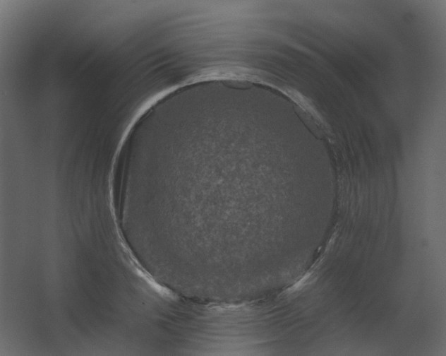 X0000067850846200604201305