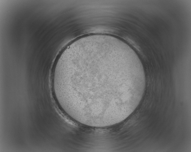 X0000067850848200604201305