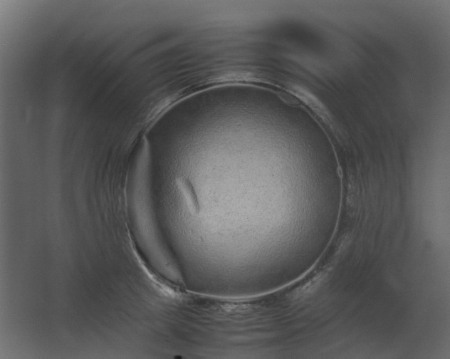 X0000067850849200604201305