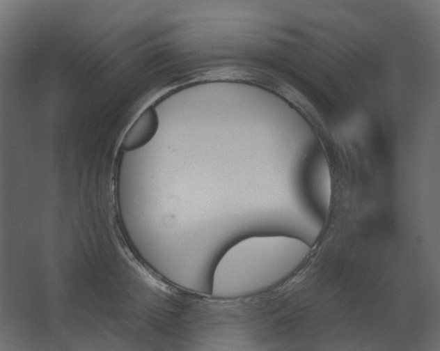 X0000067850852200604201305