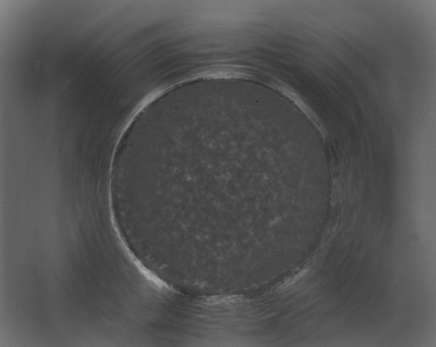 X0000067850853200604201305