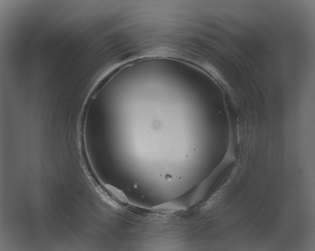 X0000067850854200604201305