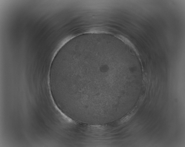 X0000067850855200604201305