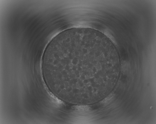 X0000067850856200604201305