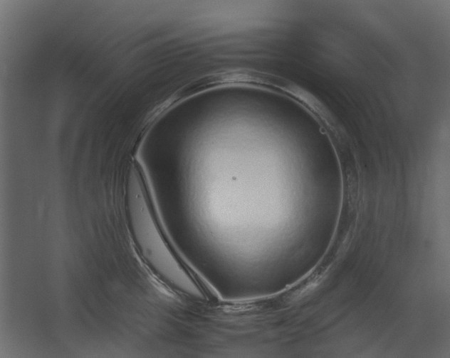 X0000067850857200604201305