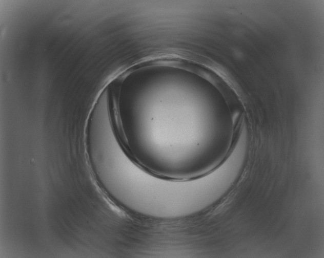 X0000067850858200604201305