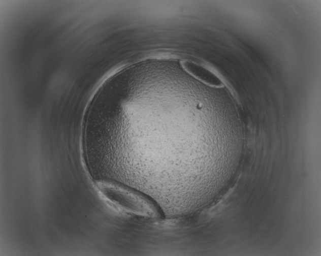 X0000067850861200604201306