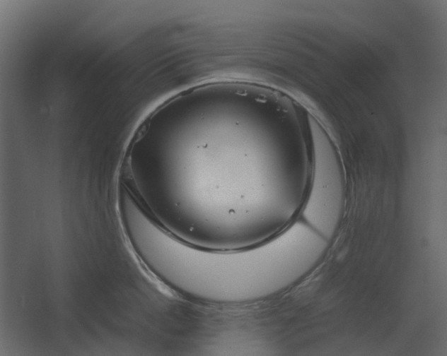 X0000067850862200604201306