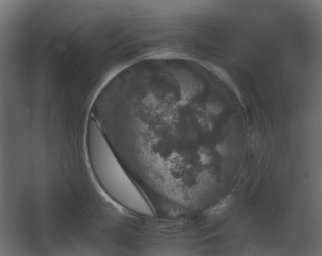 X0000067850863200604201306