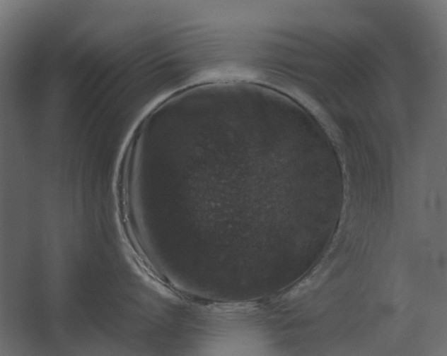 X0000067850864200604201306