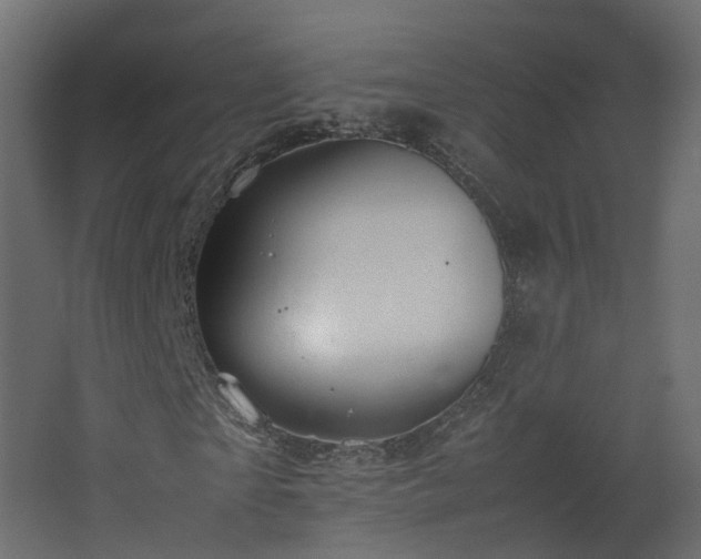 X0000067850865200604201305