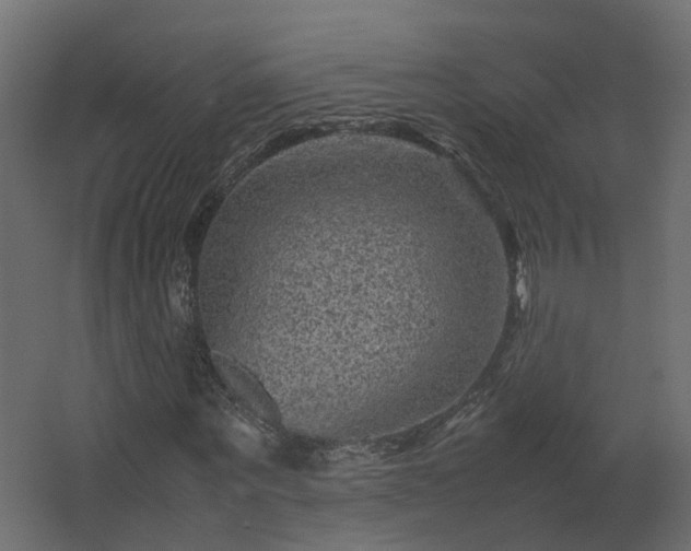 X0000067850867200604201305