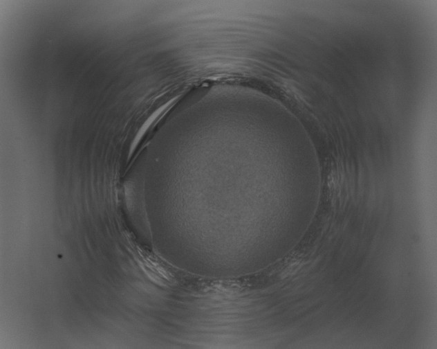 X0000067850868200604201305