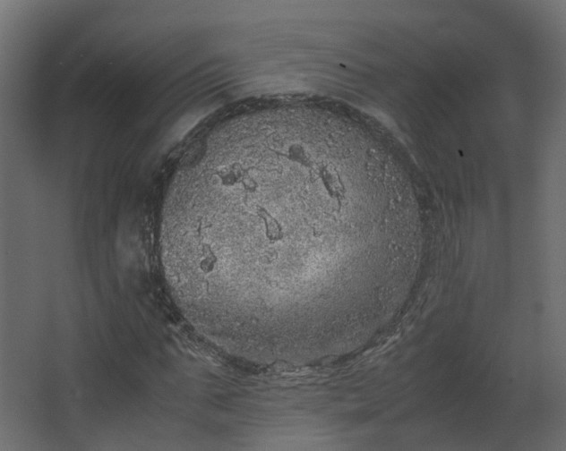 X0000067850871200604201305